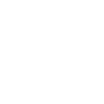 icon 1-1