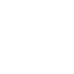 icon 4-1
